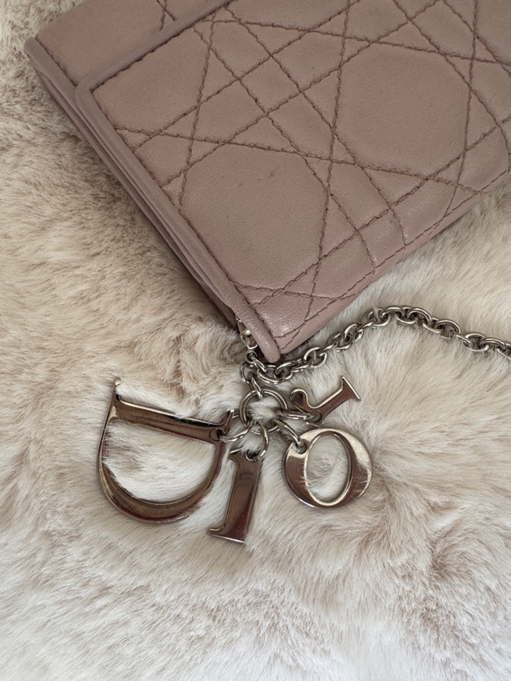 DIOR Quilted Mauve Leather Cannache